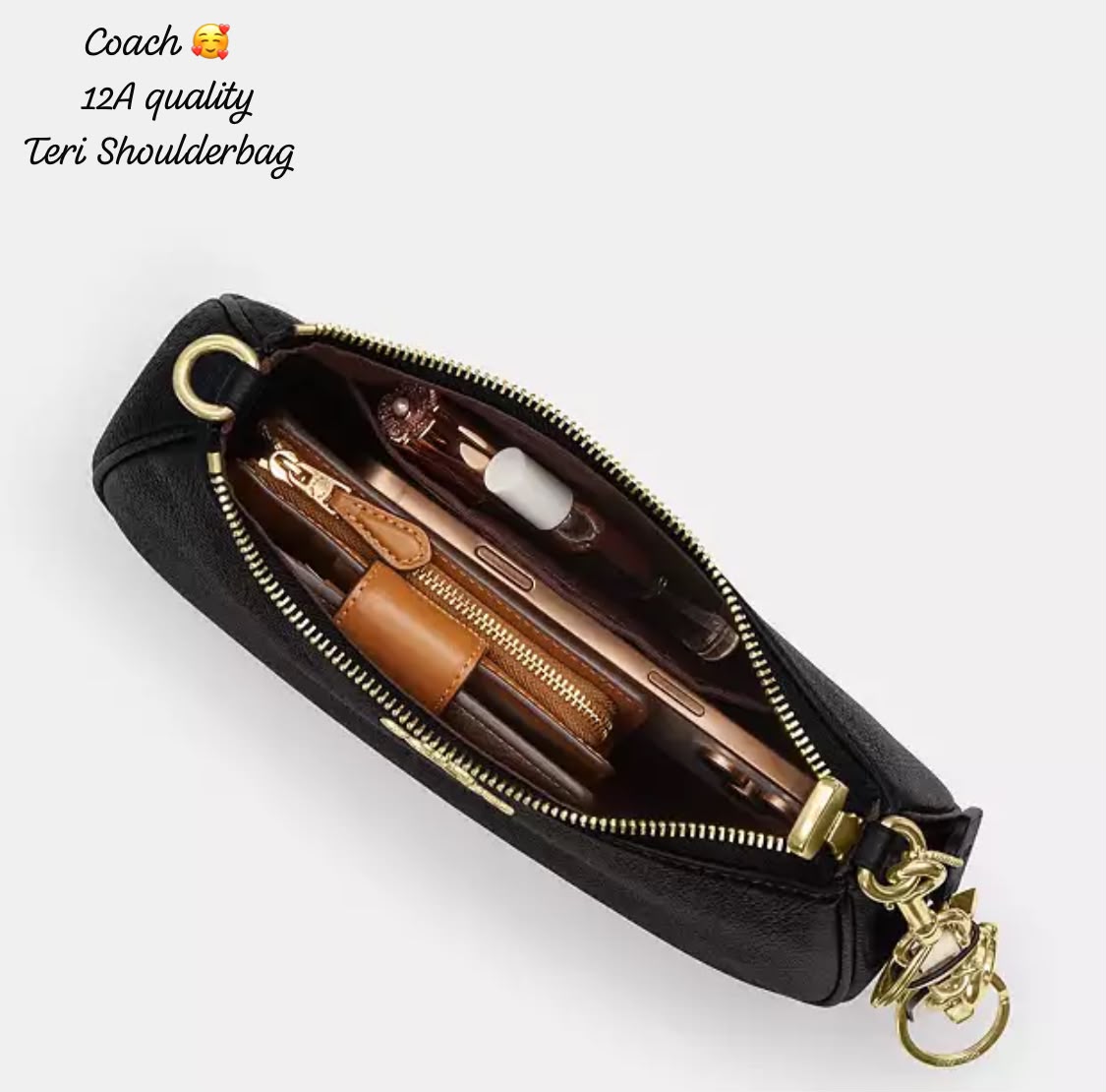 Coa_h Teri Shoulder Bag in Black Refined Pebble Leather